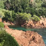 Elisabeth Saint-raphael *