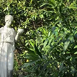 Elisabeth Saint-raphael